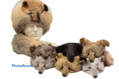 Fox Faces - Bill Worb Furs Inc.