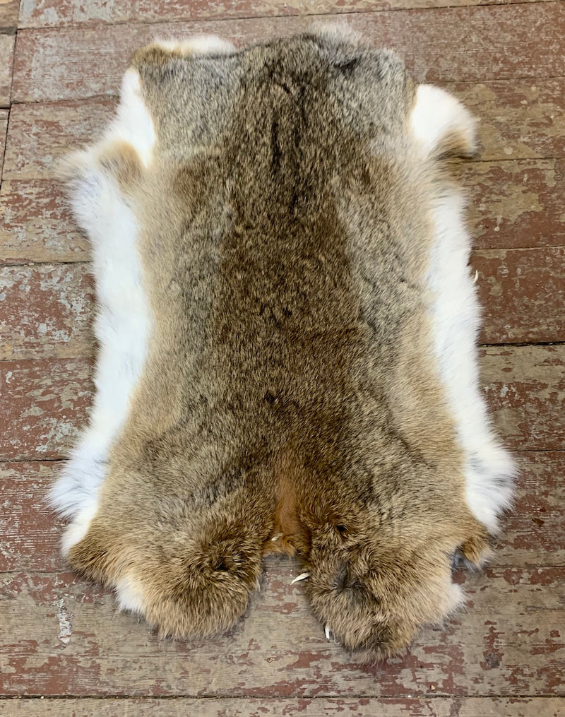 rabbit fur pelts real fur top quality - Bill Worb Furs