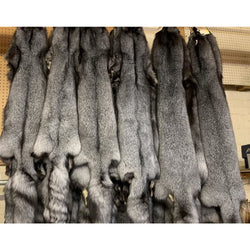 Indigo fox fur pelts