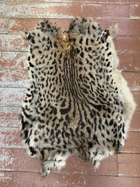 Coloured Dyed Rabbit Fur – Bill Worb Furs Inc.