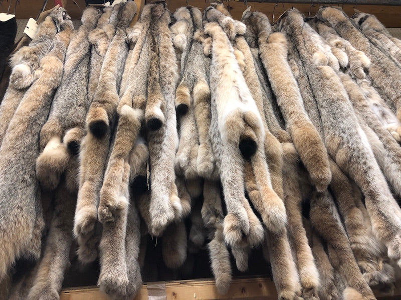 lynx fur pelts top quality great price - Bill Worb Furs