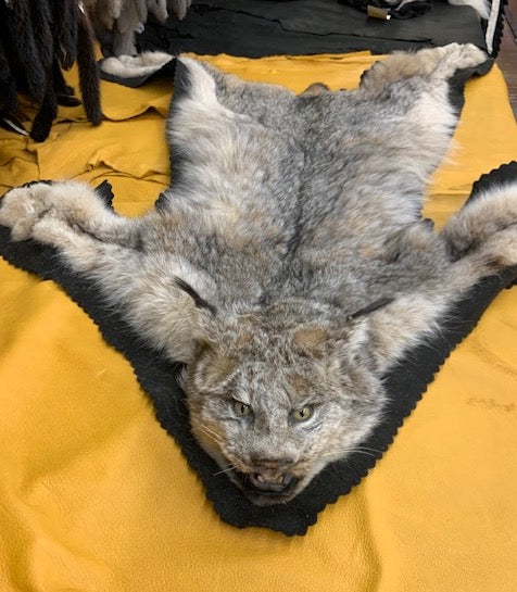 Lynx Full Mount Rug - Bill Worb Furs Inc.
