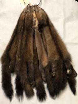 marten fur pelts real