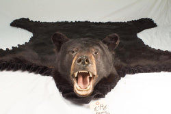 Black Bear - Bill Worb Furs Inc.