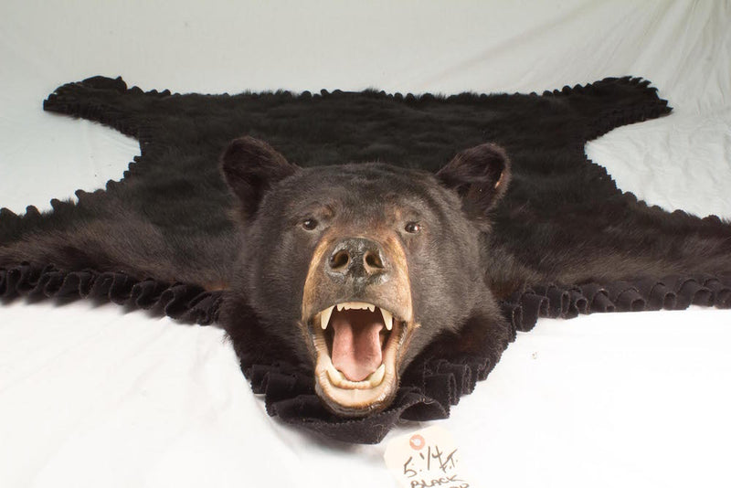 Black Bear - Bill Worb Furs Inc.
