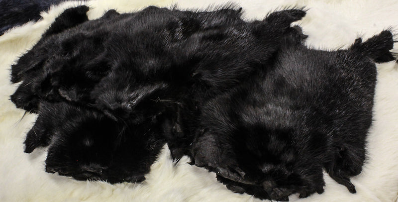 dyed black muskrat fur real