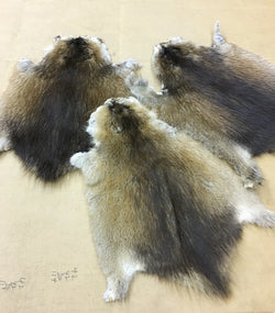 muskrat fur real