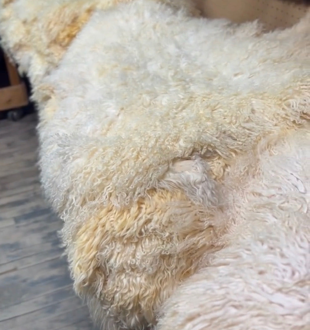 Curly Lamb main image 1