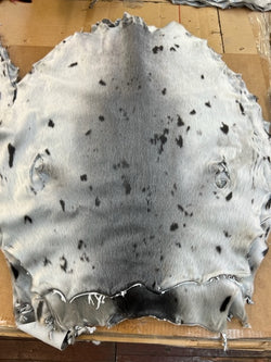 Natural harp seal skins excellent quality top rated best seller - Bill Worb Furs