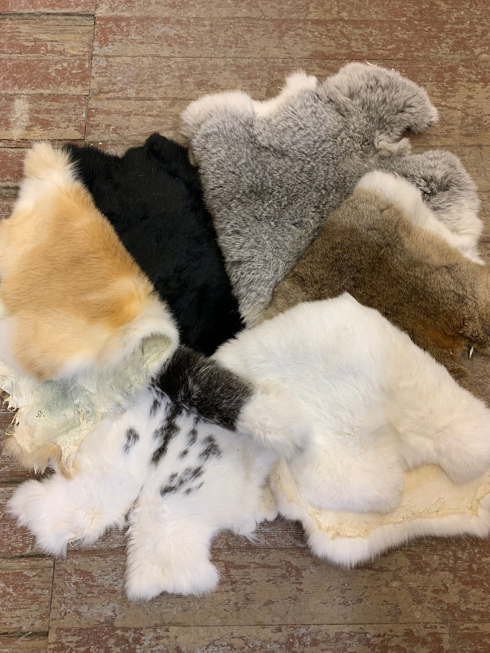 Rabbit Fur Pelts Bill Worb Furs Inc.