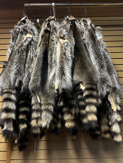 raccoon fur pelts top quality - Bill Worb Furs