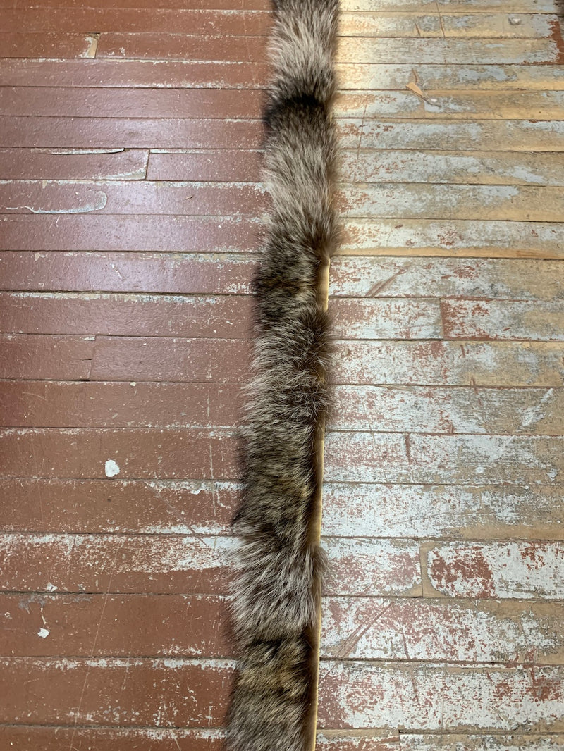 raccoon fur stripping 