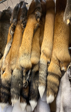 ranch red fox fur pelts
