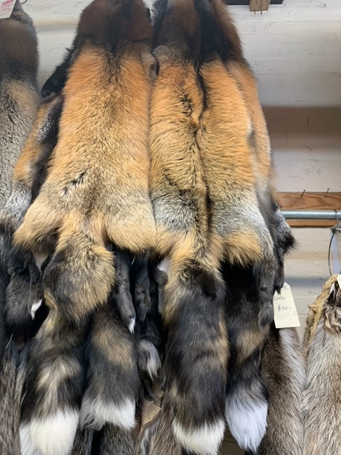 Red Cross fox fur pelts - Bill Worb Furs