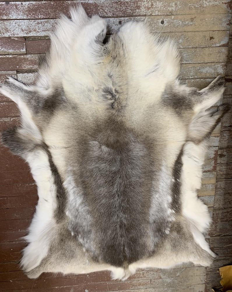reindeer caribou fur hides top quality - Bill Worb Furs