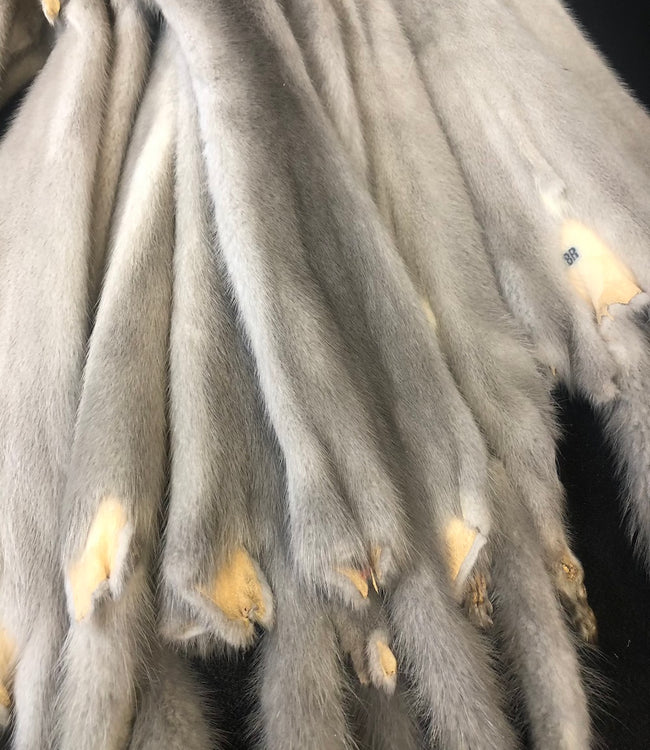 Furs, seal skins, rugs, hood ruffs, pelts, foxes, coyotes, cow, bear ...