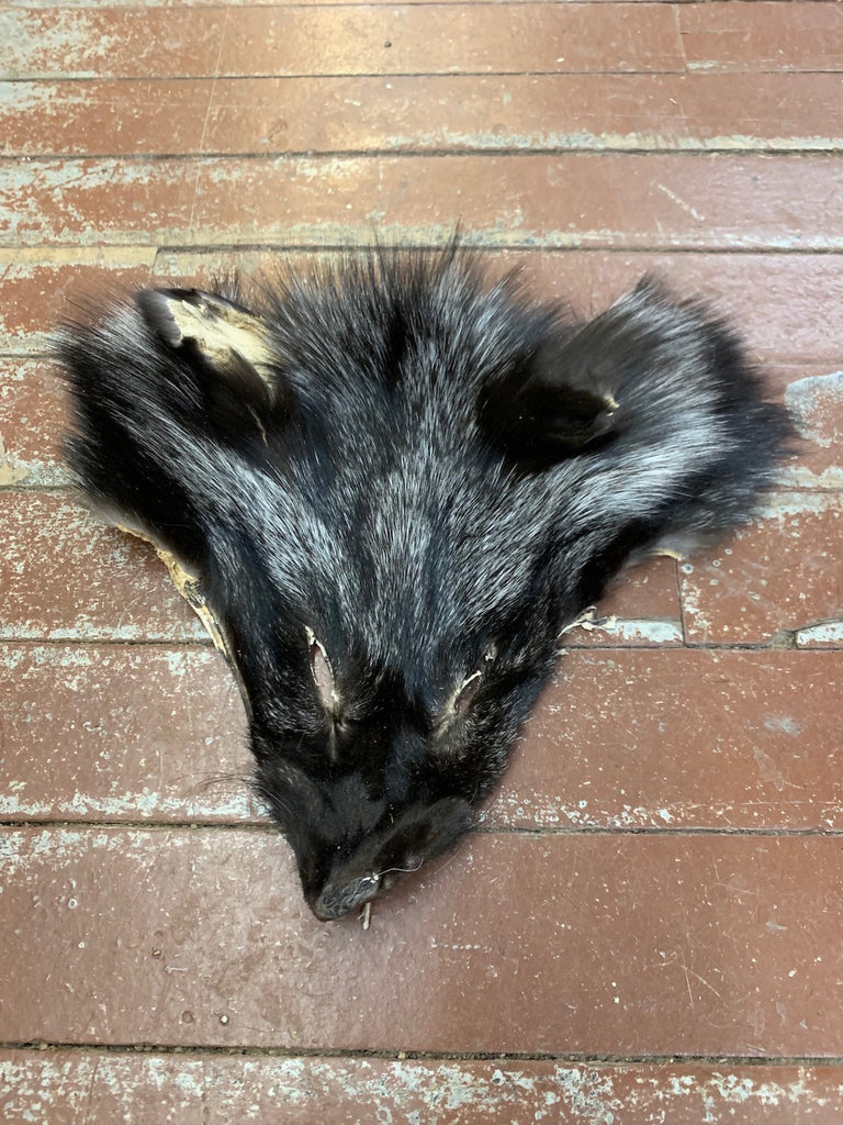 Silverfoxface_1024x1024.jpg?v=