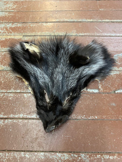 silver fox fur faces - Bill Worb Furs