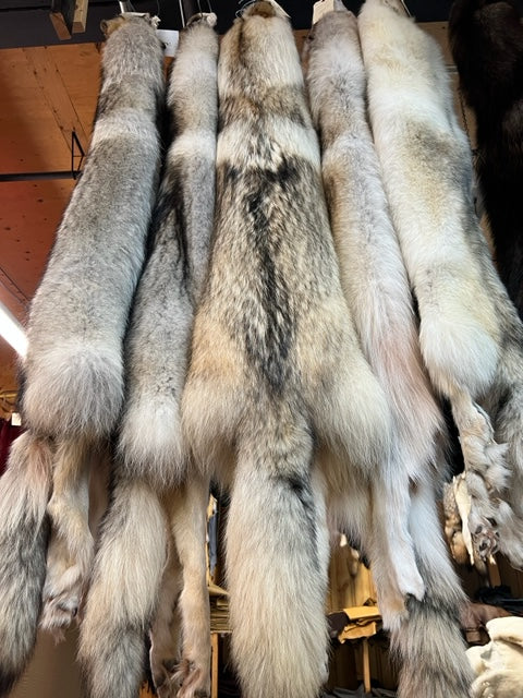 Timberwolf fur pelts - Bill Worb Furs