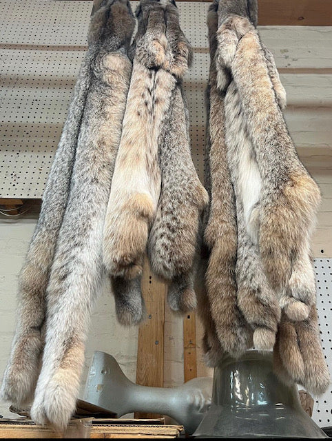 Top quality lynx fur pelts - Bill Worb Furs