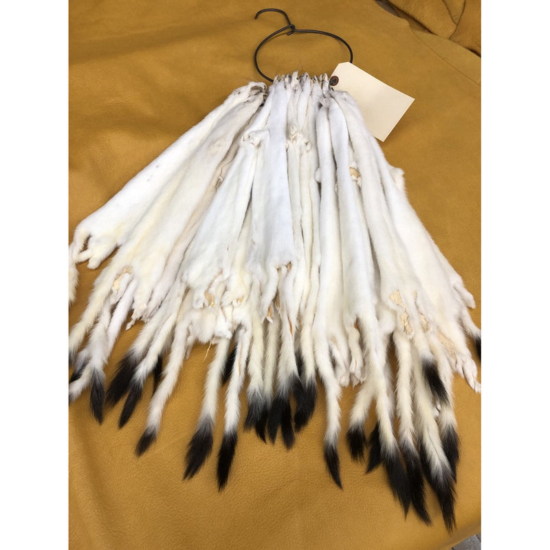 weasel fur pelts excellent quality top rated - Bill Worb Furs