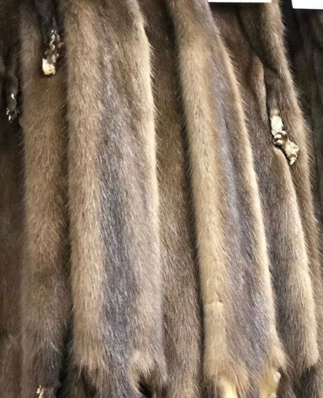 wild mink fur pelts real