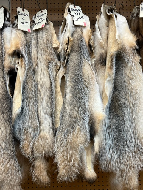 Badger fur pelts - Bill Worb Furs